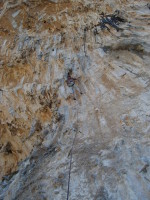 SNV80420.JPG